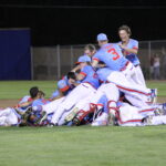 DBat-Dog-Pile-scaled.jpg