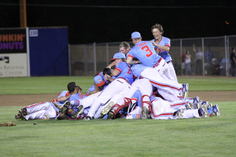 DBat-Dog-Pile-scaled.jpg